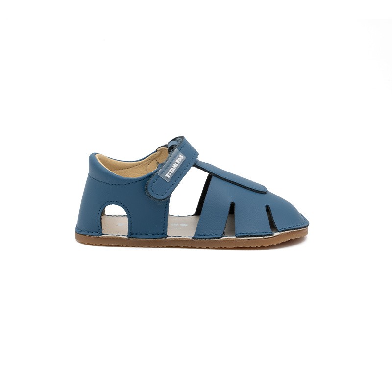 L560 ALBERTIC