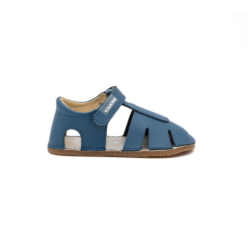 L560 ALBERTIC