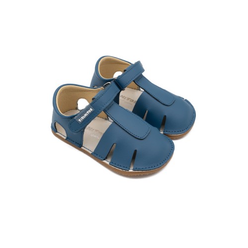 L560 ALBERTIC