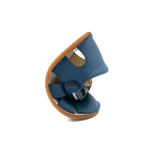 L560 ALBERTIC