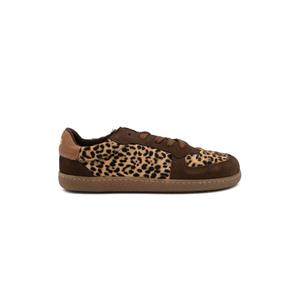 LEOPARDO